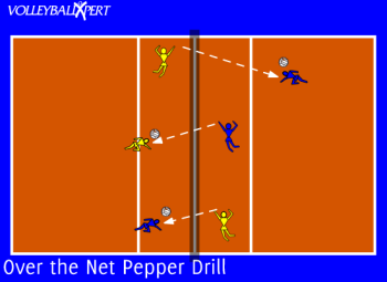Over the Net Pepper Drill