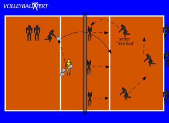 Free Ball: Pass, Set, Cover, and Catch