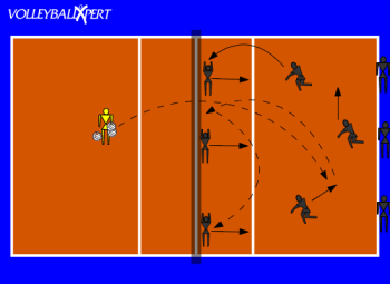 Volleyball: Passing Free Balls to Setter