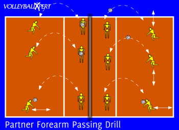 Partner Forearm Passing Drill
