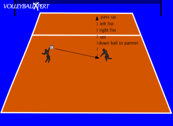 4 x 2 Pepper Drill